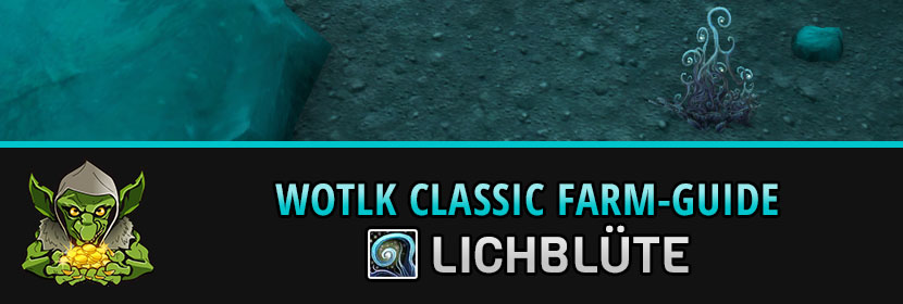 WotLK Classic Lichbluete farmen