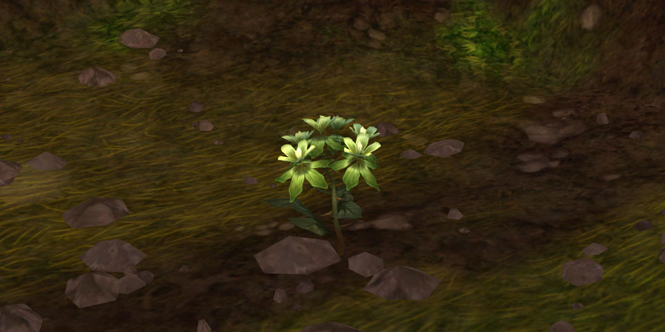 Mists of Pandaria Classic Farmguide Seidenkraut farmen Mists of Pandaria Classic Farmguide Seidenkraut farmen