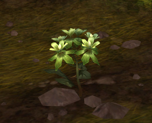 Kräuterkunde - Mists of Pandaria Classic 5 Pandaria Classic Kraeuterkunde Berufe Guide Seidenkraut