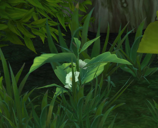 Kräuterkunde - Mists of Pandaria Classic 3 Pandaria Classic Kraeuterkunde Berufe Guide Teepflanze
