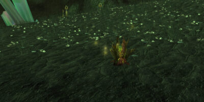 WoW Burning Crusade Classic Farmguide Alptraumranke farmen