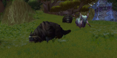 WoW Burning Crusade Classic Farmguide Knotenhautleder farmen