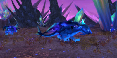 WoW Burning Crusade Classic Farmguide Netherdrachenschuppe farmen