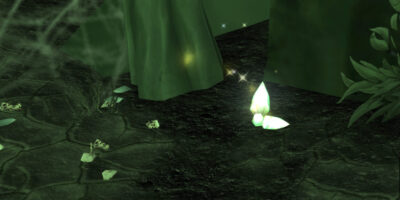 WoW Burning Crusade Classic Farmguide Terozapfen farmen