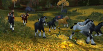 Wrath of the Lich King Classic Farmguide Arktischer Pelz farmen Wrath of the Lich King Classic Farmguide Arktischer Pelz farmen