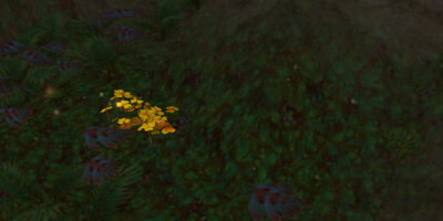 Wrath of the Lich King Classic Farmguide Goldklee farmen Wrath of the Lich King Classic Farmguide Goldklee farmen